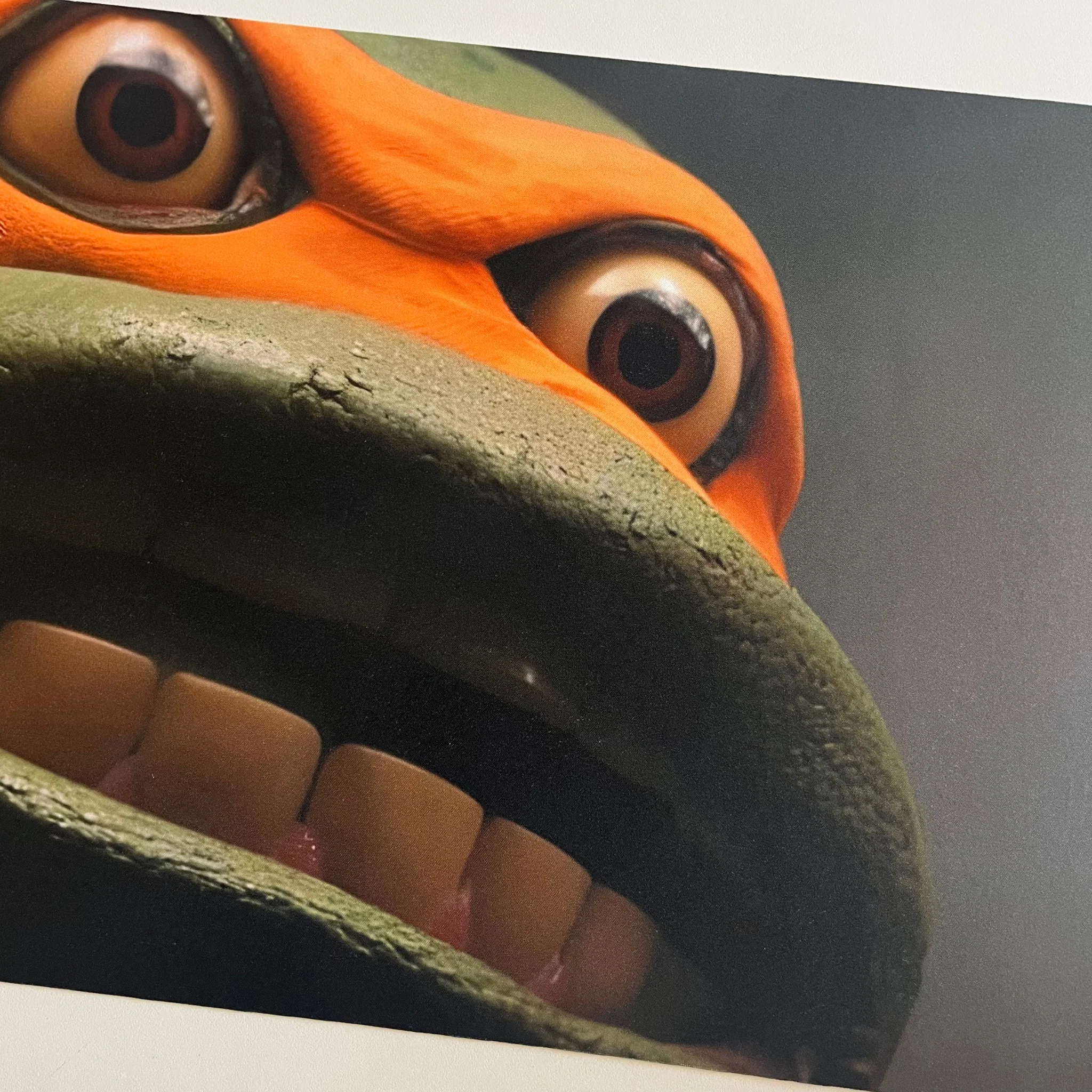Turtle Time Playmat - Image 4