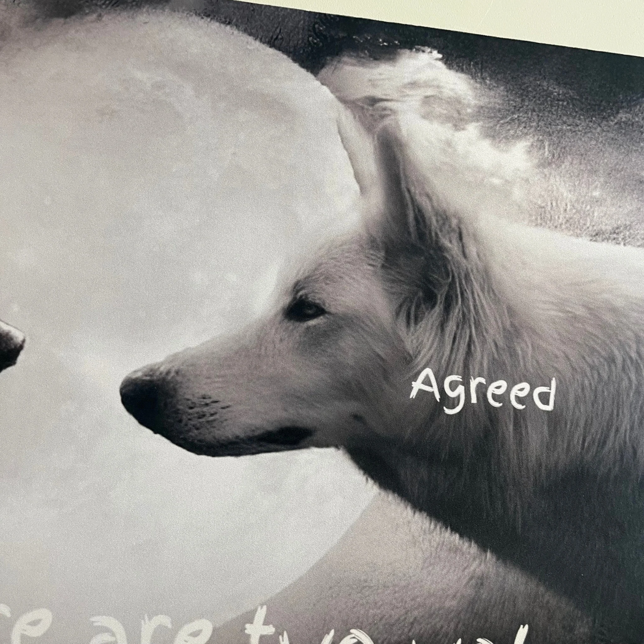 Two Wolves Playmat - Image 4
